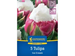 Kiepenkerl Spaten|Blumenzwiebel Profi-Line Gefüllte späte Tulpe Ice Cream 5 Stück