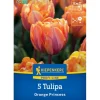 Kiepenkerl Spaten|Blumenzwiebel Gefüllte späte Tulpe Orange Princess 5 Stück