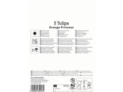 Kiepenkerl Spaten|Blumenzwiebel Gefüllte späte Tulpe Orange Princess 5 Stück