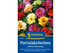 Kiepenkerl Spaten|Portulakröschen "Gefüllte Mischung" Portulaca grandiflora