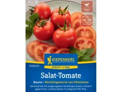 Salat-Tomate "Bauna" F1-Hybride*Kiepenkerl Sale