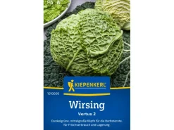 Kiepenkerl Spaten|Wirsing "Vertus 2"