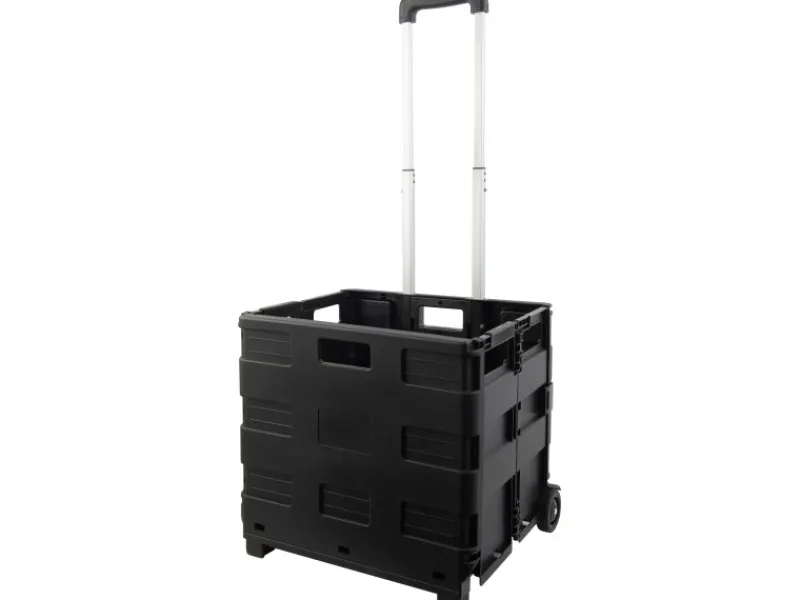 Auflagenboxen|Klappbarer Trolley Aluminium Schwarz 25 l