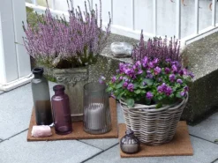 Proflora Weitere Gartenhelfer|Kokosfaser Mulchmatte idealer Topfungersetzer und Baumschutz Natur 40 x 40 cm