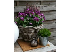 Proflora Weitere Gartenhelfer|Gartenvliese|Kokosfaser Mulchmatte idealer Topfuntersetzer und Baumschutz Natur 30 x 30 cm