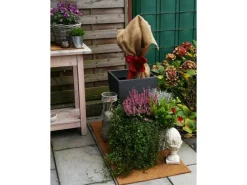 Kokosfaser Mulchmatte idealer Topfuntersetzer und Baumschutz Natur 100 x 50 cm*Proflora Online