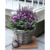 Proflora Weitere Gartenhelfer|Kokosfaser Mulchmatte Topfuntersetzer und Baumschutz 4er Set Natur 30 x 30 cm