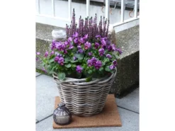 Proflora Weitere Gartenhelfer|Kokosfaser Mulchmatte Topfuntersetzer und Baumschutz 4er Set Natur 30 x 30 cm