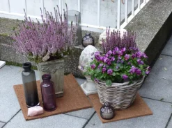 Proflora Weitere Gartenhelfer|Kokosfaser Mulchmatte Topfuntersetzer und Baumschutz 4er Set Natur 30 x 30 cm