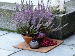 Proflora Weitere Gartenhelfer|Kokosfaser Mulchmatte Topfuntersetzer und Baumschutz 4er Set Natur 30 x 30 cm