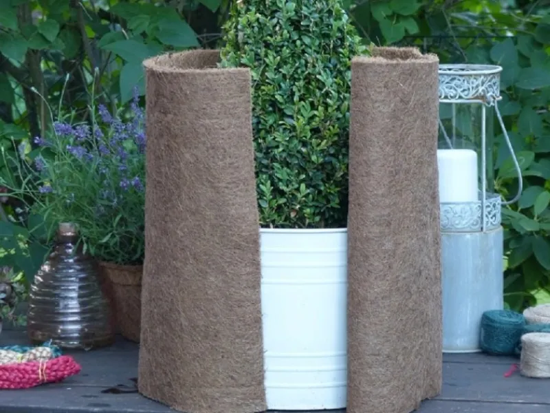 Proflora Weitere Gartenhelfer|Kokosfaser Winterschutz Matte für Garten/Pflanzen 5er Set (LxB) 150 x 50 cm