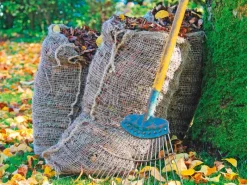 Weitere Gartenhelfer|Kompostierbarer Laubsack 2er-Set