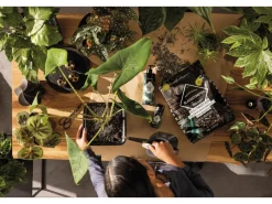 ® Pflanzsubstrat Blackstone Pon 12 l Schwarz*Lechuza Clearance