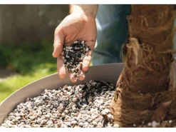 ® Pflanzsubstrat Palm Pon 12 l Neutral*Lechuza Hot