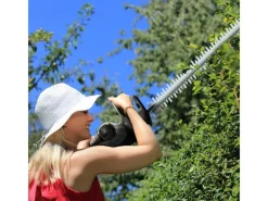 Litheli Heckenscheren|U20 Akku-Heckenschere 20V EGT040070 inkl. Akku 2.0Ah