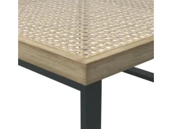 Sonnenliegen|Lounge-Gartenmöbel|Lounge-Set Calora 3-teilig aus Rattangeflecht und Aluminium Grau