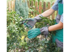 LUX Pflanzhandschuh M*LUX-TOOLS Sale