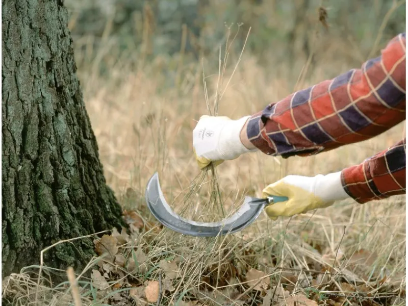LUX-TOOLS Gartenscheren|Baumscheren|LUX Rundsichel geschmiedet