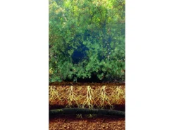 LUX-TOOLS Gartenschläuche|Perlschlauch 13 mm (1/2