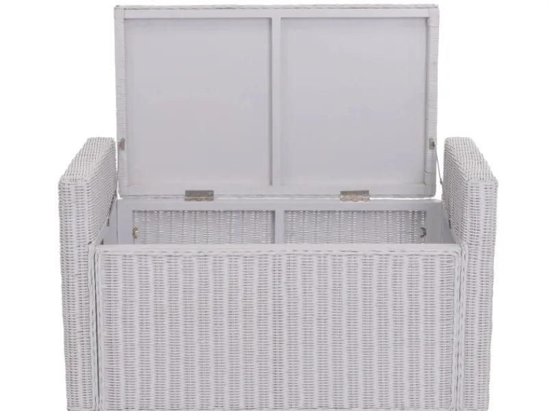 Aufbewahrungstruhe Genua Rattan*MCW Best