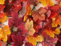 Balkonsichtschutz N77 500x150cm Blatt - 500x150cm Ahorn -gelb*MCW Online