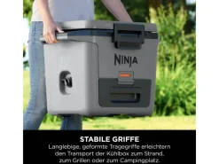 Kühlbox FrostVault FB131EUGY mit Trockenzone Schiefergrau 28 l*Ninja Online