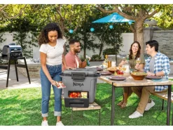 Kühlbox FrostVault FB131EUGY mit Trockenzone Schiefergrau 28 l*Ninja Online