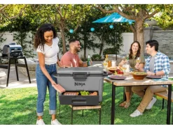 Kühlbox FrostVault FB151EUGY mit Trockenzone Schiefergrau 47 l*Ninja