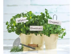 OBI Pflanzetiketten Weiß 5 Stück* Online