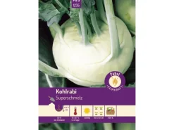 Pabst Keimkraft Spaten|Kohlrabi Spät & Großknollig Superschmelz Saatgut