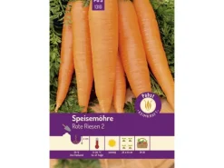 Pabst Keimkraft Spaten|Speisemöhre Spät & Kegelförmig Rote Riesen 2 Saatgut