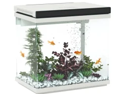 PawHut Wasserpumpe|Aquarium Wasserpumpe Glas ABS Weiß 38L x 26B x 37,6H cm