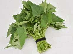 Weitere Gartenhelfer|Pflanzenbinder 5 m