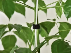 Weitere Gartenhelfer|Pflanzenbinder 5 m