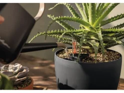 Pflanzsubstrat ® Basicpon 6 Liter für sensible Pflanzen*Lechuza Hot