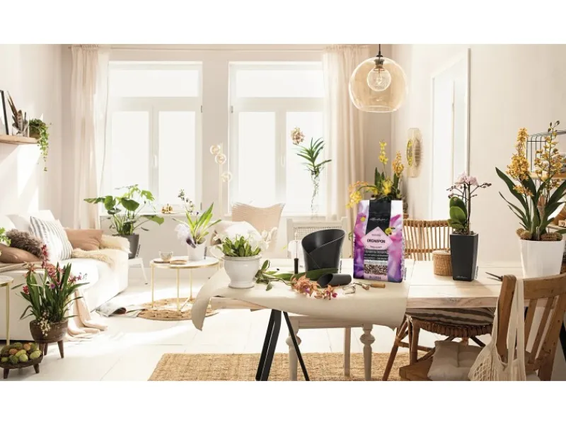 Lechuza Hydrokultur|Pflanzsubstrat ® Orchidpon 3 Liter für Orchideen