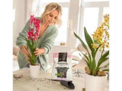 Lechuza Hydrokultur|Pflanzsubstrat ® Orchidpon 3 Liter für Orchideen