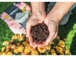 Lechuza Hydrokultur|Pflanzsubstrat ® Terrapon 12 Liter für Außen- und Kübelpflanzen