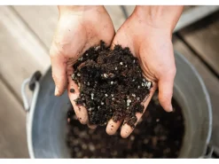 Lechuza Hydrokultur|Pflanzsubstrat ® Veggiepon 6 Liter für Gemüse und Obst