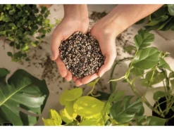 Pflanzsubstrat ®-Pon 3 Liter für Zimmerpflanzen*Lechuza New