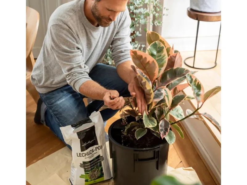 Lechuza Hydrokultur|Pflanzsubstrat ®-Pon 12 Liter für Zimmerpflanzen