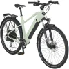 E-Bike ATB Stack 2.9 Herren Salbeigrün Matt 29 Zoll*Prophete Online