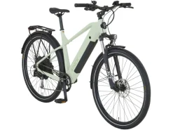 E-Bike ATB Stack 2.9 Herren Salbeigrün Matt 29 Zoll*Prophete Online