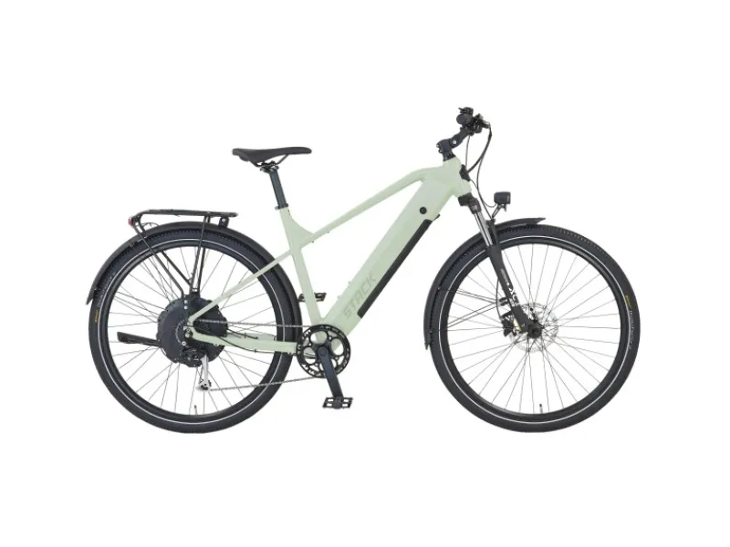 E-Bike ATB Stack 2.9 Herren Salbeigrün Matt 29 Zoll*Prophete Online