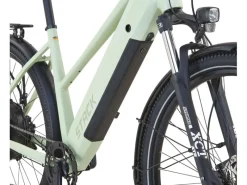 E-Bike ATB Stack 2.9 Herren Salbeigrün Matt 29 Zoll*Prophete Online