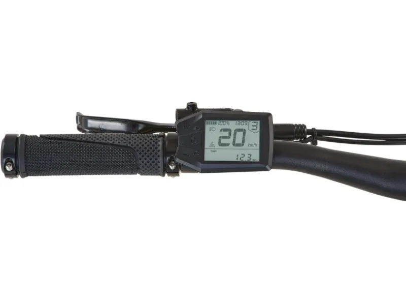 E-Bike ATB Stack 2.9 Herren Salbeigrün Matt 29 Zoll*Prophete Online