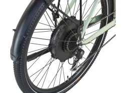 E-Bike ATB Stack 2.9 Herren Salbeigrün Matt 29 Zoll*Prophete Online