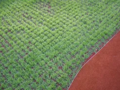 Gartenspielgeräte|Rasengitter-Fallschutzplatte 100 cm x 100 cm x 4,5 cm