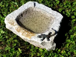 Granit-Vogeltränke mit Bronze-Skulptur Eidechse*Rottenecker Outlet