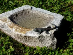 Granit-Vogeltränke mit Bronze-Skulptur Eidechse*Rottenecker Outlet